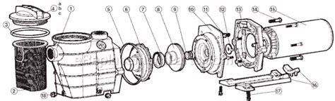 hayward spxaz parts list  diagram ereplacementpartscom