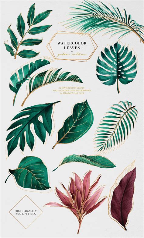 tropical plants printables tropical leaves printable  graphics