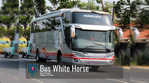 sewa bus pariwisata white horse murah  kemenbuspar