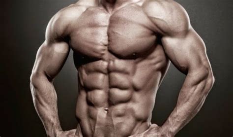 how to use fat loss drugs without compromising muscle gains part 1