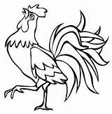 Rooster Drawing Coloring Drawings Crowing Colouring Pages Farm Fighting Cartoon Roosters Animal Beautiful Color Simple Outline Chicken Line Kids Clipart sketch template