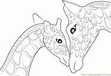 Giraffe Coloring Pages Baby Printable Mother Head Kids Drawing Cute Funny Outline Elephant Color Microscope Adults Light Compound Animal Getdrawings sketch template