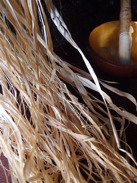 raffia  gram natural raffia nature