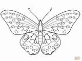Insecten sketch template