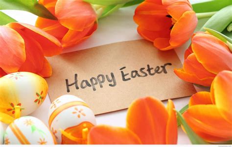 happy easter hd   wallpapers  happy easter quotes sms