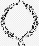 Thorn Thorns Vine Branch Spines Prickles Crown Espinas Monochrome Rama Twig Pngwing Monocromo Clipartmag Espina Coloring 67kb Gospel Christianity sketch template