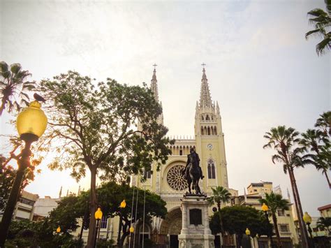catedral de guayaquil legado de fe en la ciudad