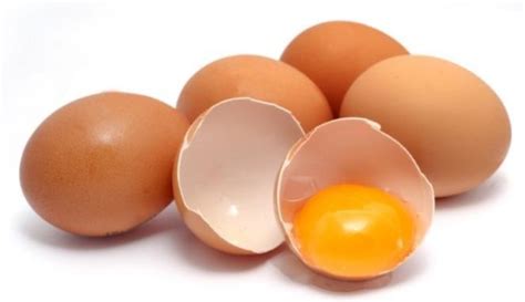 Cara Mengocok Telur Supaya Mengembang Dengan Baik Mesin Raya