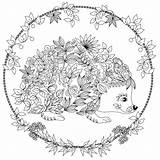 Coloring Hedgehog Pages Colouring Cute Adult Mandala Printable Choose Board Adults sketch template