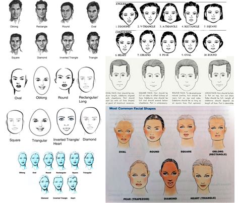 aryan anthropology   face shapes