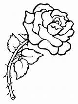 Coloring Flower Printable Pages Kids Rose Apage sketch template