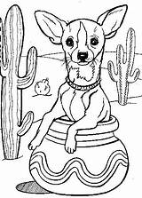 Chihuahua Coloring Pages Kids Drawings Dog Chiweenie Outline Puppy Printable Book Chihuahuas Dogs Drawing Mexican Mexico Visit Chi Choose Board sketch template