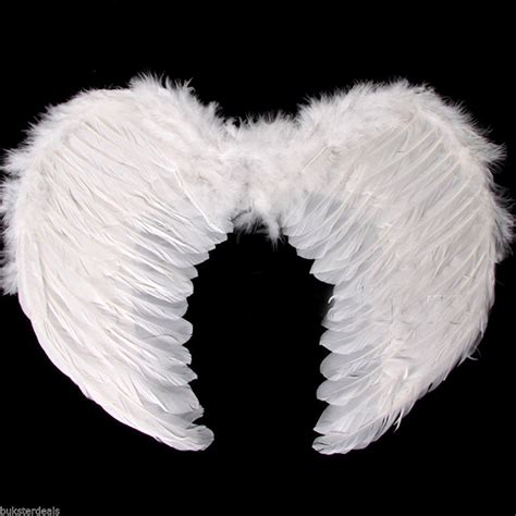 photo white angel wings angel feathers white   jooinn