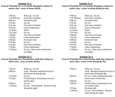 printable puppy potty training schedule chart printable templates