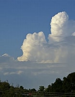 Image result for cumulus_congestus. Size: 155 x 200. Source: en.wikipedia.org