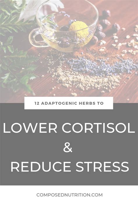 12 Adaptogenic Herbs To Lower Cortisol And Reduce Stress Lower