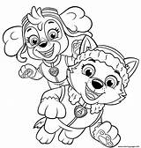 Everest Coloriage Skye Joyeux Chiots Mighty Patrouille sketch template
