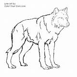 Wolf Coloring Bad Big Pages Getcolorings sketch template