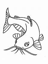 Coloring Catfish Pages Fish Printable Minecraft sketch template