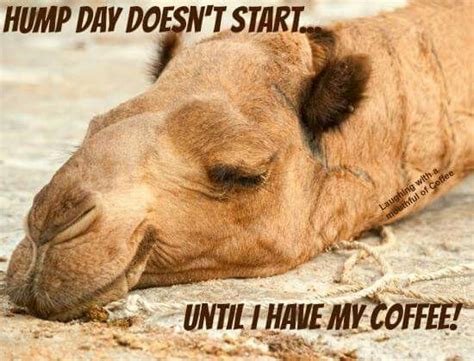 60 Wednesday Coffee Memes Images And Pics To Get Through