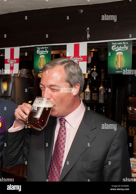 ukip leader nigel farage drinking beer  pub stock photo alamy