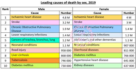 the top 10 causes of death and disability in 2019