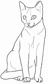 Katze Katzen Ausdrucken Dekoking Süße Zeichnung Zeichnungen Zeichenvorlagen Schoene Behavior Meanings Ausmalen sketch template