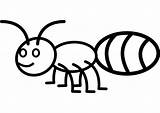 Hormigas Invertebrados Vertebrados Ant Hormiga Formiga Facil Infantiles Imagui Animadas Ants Hace sketch template