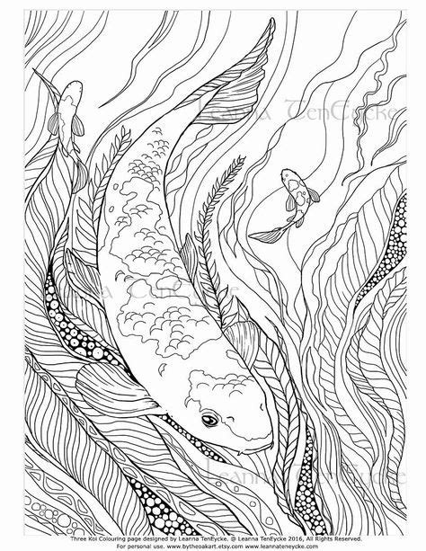 koi coloring pages  adults   adult coloring coloring pages