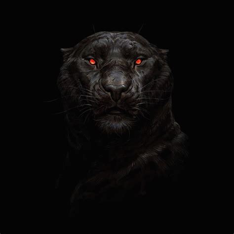 black tiger android wallpapers wallpaper cave