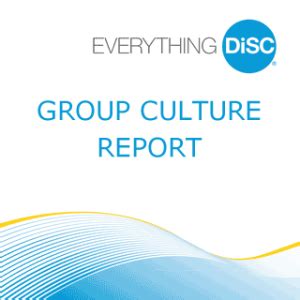 disc group culture report entelechy leadership development