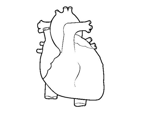 human heart coloring page coloringcrewcom
