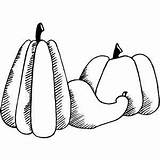 Gourd Coloring Pumpkin sketch template