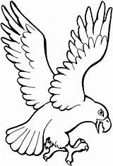 Eagles Wings Coloring Pages Template Eagle sketch template