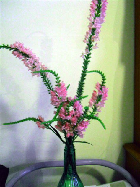 identify tall spiky plant  pink bell  flowers