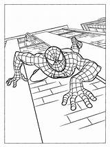 Coloring Spiderman Pages Lizard Vs Man Spider Superheroes Color Library Clipart Coloringhome Slip Down sketch template