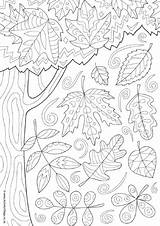 Colouring Autumn Pages Doodle Kids Adults Coloring Fall Older Activityvillage Sheets Leaves Doodles Tree Senior Seniors Adult Printable Leaf Abstract sketch template