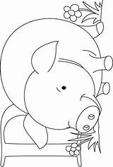 Coloring Pig Kids Pages sketch template