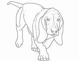 Hunde Beagle Ausdrucken Kostenlos Ausmalbild Ausmalbilder Hunderassen Malvorlagen Hund Ausmalen sketch template