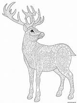 Coloriage Renne Reindeer Stag Imprimer Adulte sketch template