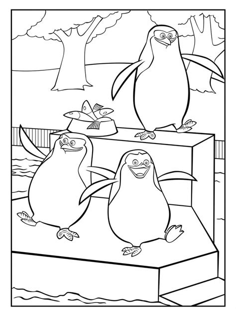 penguin coloring page image animal place