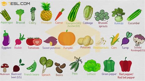 list  vegetables  vegetable names  english  images esl