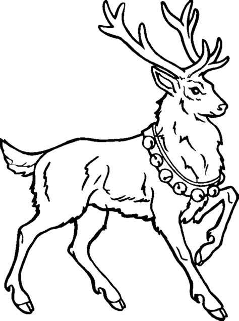 rudolph   reindeer printables  coloring pages hubpages