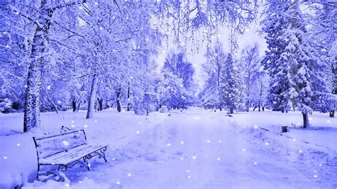 snow wallpapers wallpaper high definition high quality widescreen