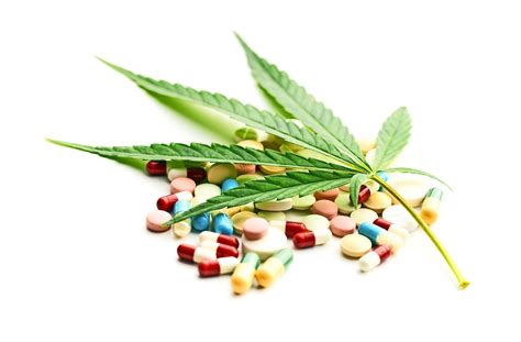 einsatz von cannabis als medikament die umstands droge