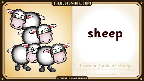 sheep   pronounce  english word sheep youtube