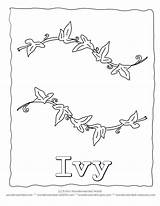 Ivy Coloring Leaf Template Leaves Pages Printable Simple String Printout Designlooter 03kb 792px Library Clipart Popular Line sketch template
