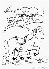 Sattel Ausmalbilder Pferd Pferde sketch template