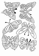 Papillons Hugolescargot Vogels Vlinders Papillon Vlinder Volwassen Bloemen Colorier Difficile Coloriages Volwassenen Colouring Topkleurplaat Partager источник sketch template