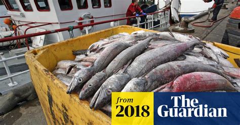 uk   charge   fishing waters  post brexit plan brexit  guardian